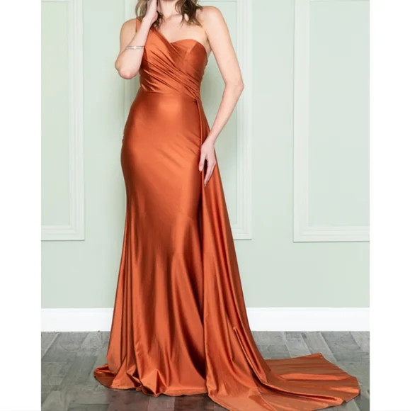 green emerald velvet dress Kaida Slinky Maxi Dress with Hardware / Burnt Orange | Meshki main image 1